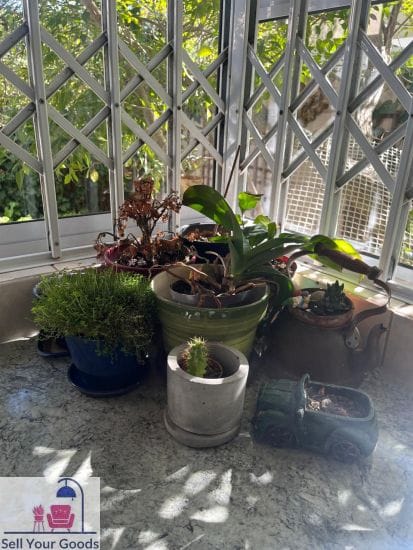 Selection of small plants