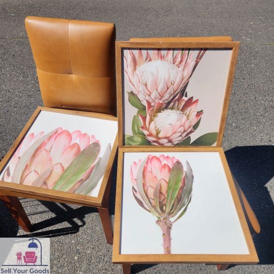 Three wooden framed protea prints One framed cracked