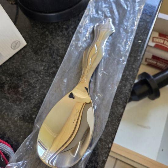 Carrol boyes serving spoon