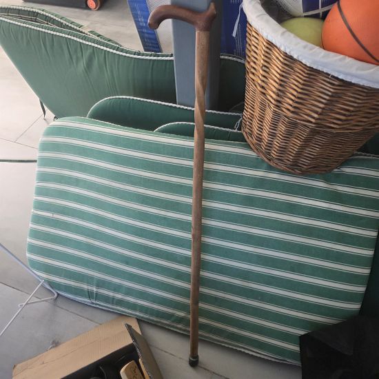 Walking stick