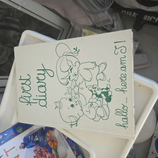 Babies first diary